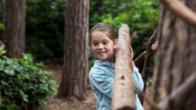 A child in a blue jumper carrying a large branch for den building at Cragside.
